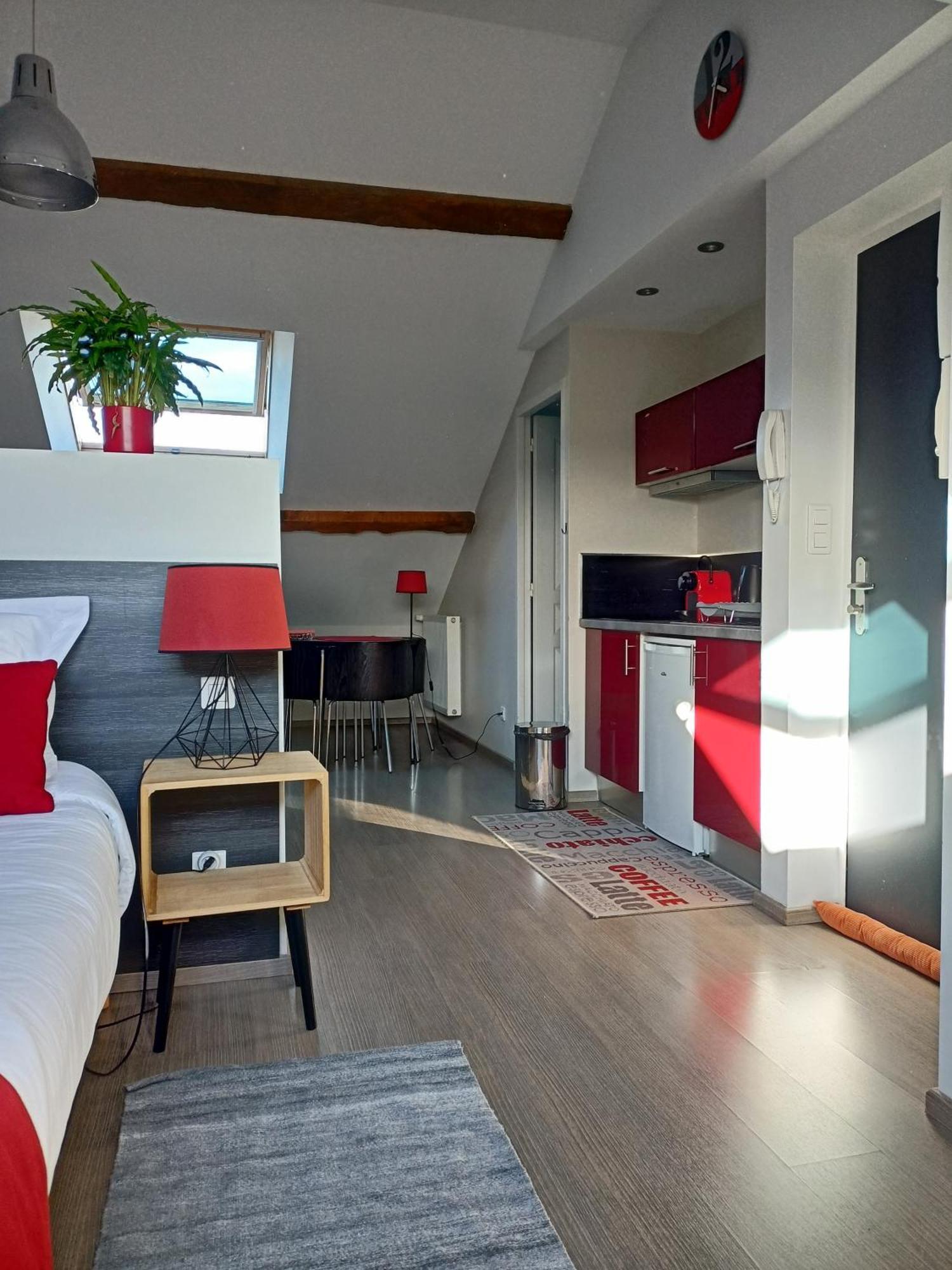 Les Suites Angevines 昂热 外观 照片