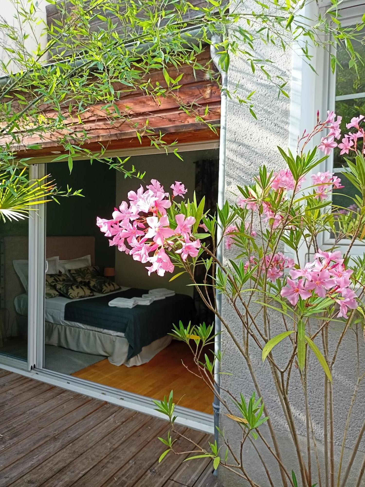 Les Suites Angevines 昂热 外观 照片